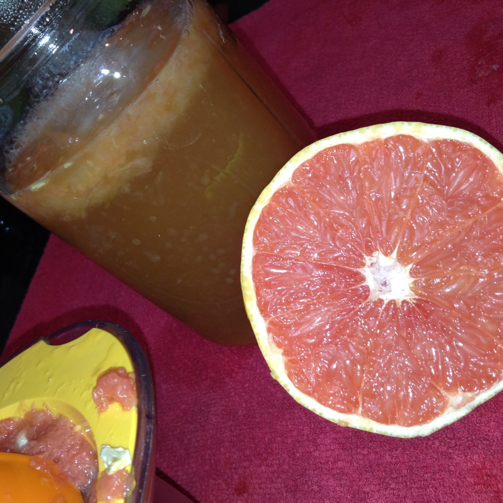 Grapefruit Infused Kombucha