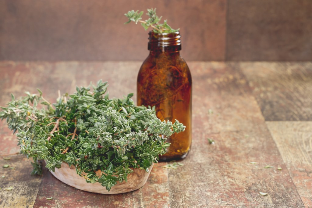 Thyme for Vapor Steam