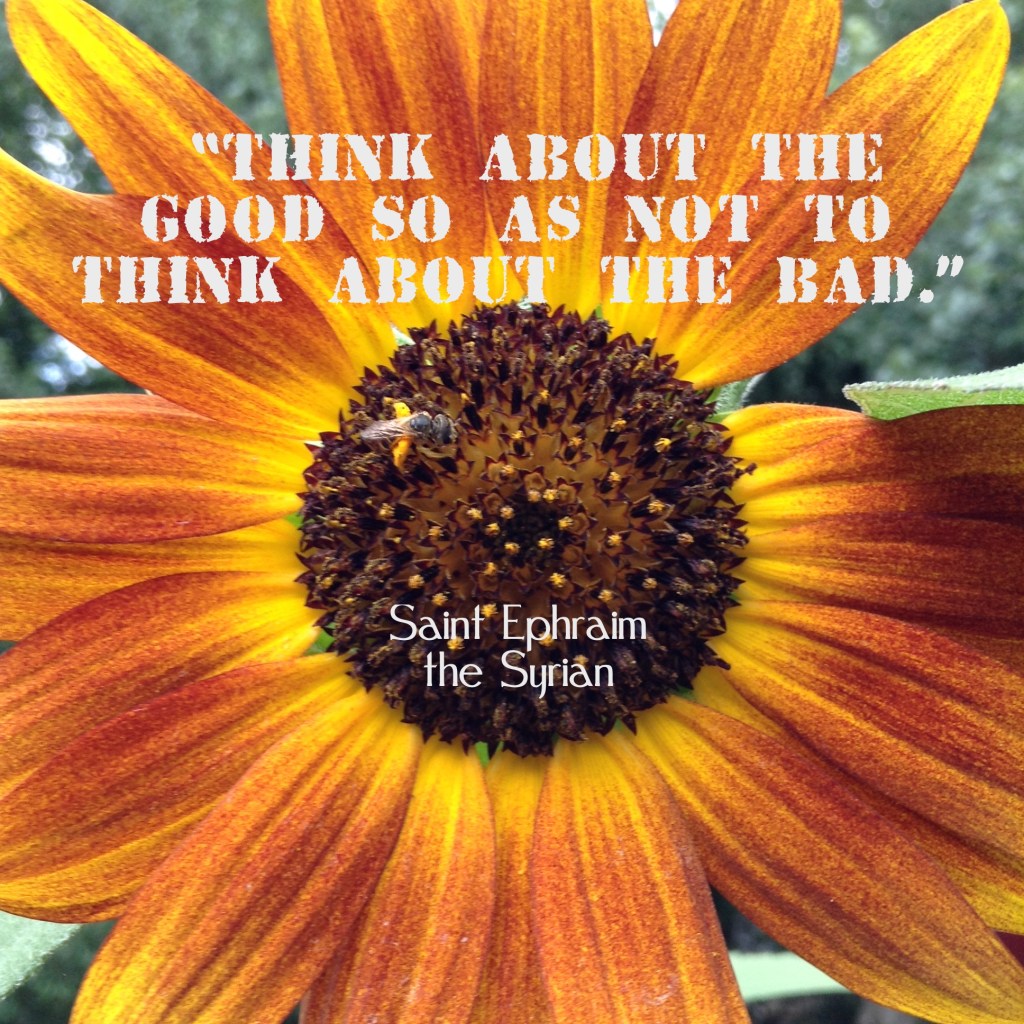 sunflower - Saint Ephraim