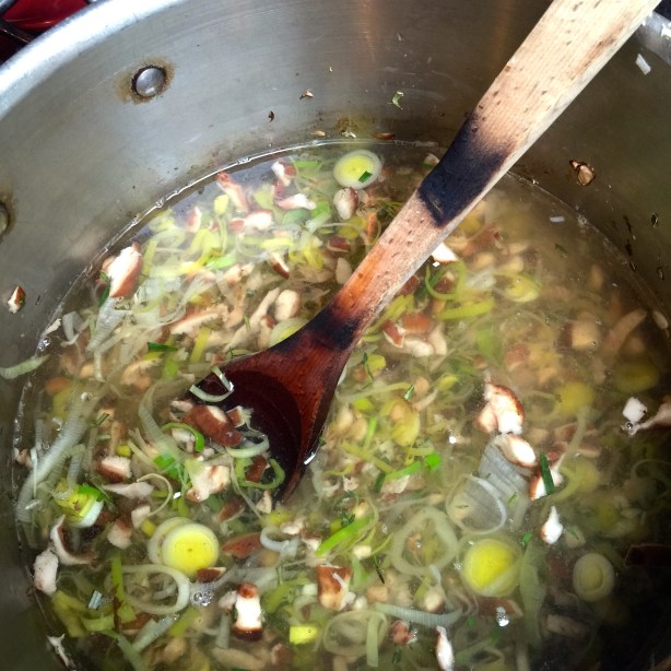 ready to cook mushroom leek soup