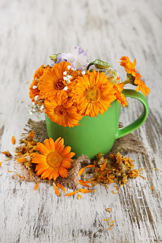 Calendula Tea