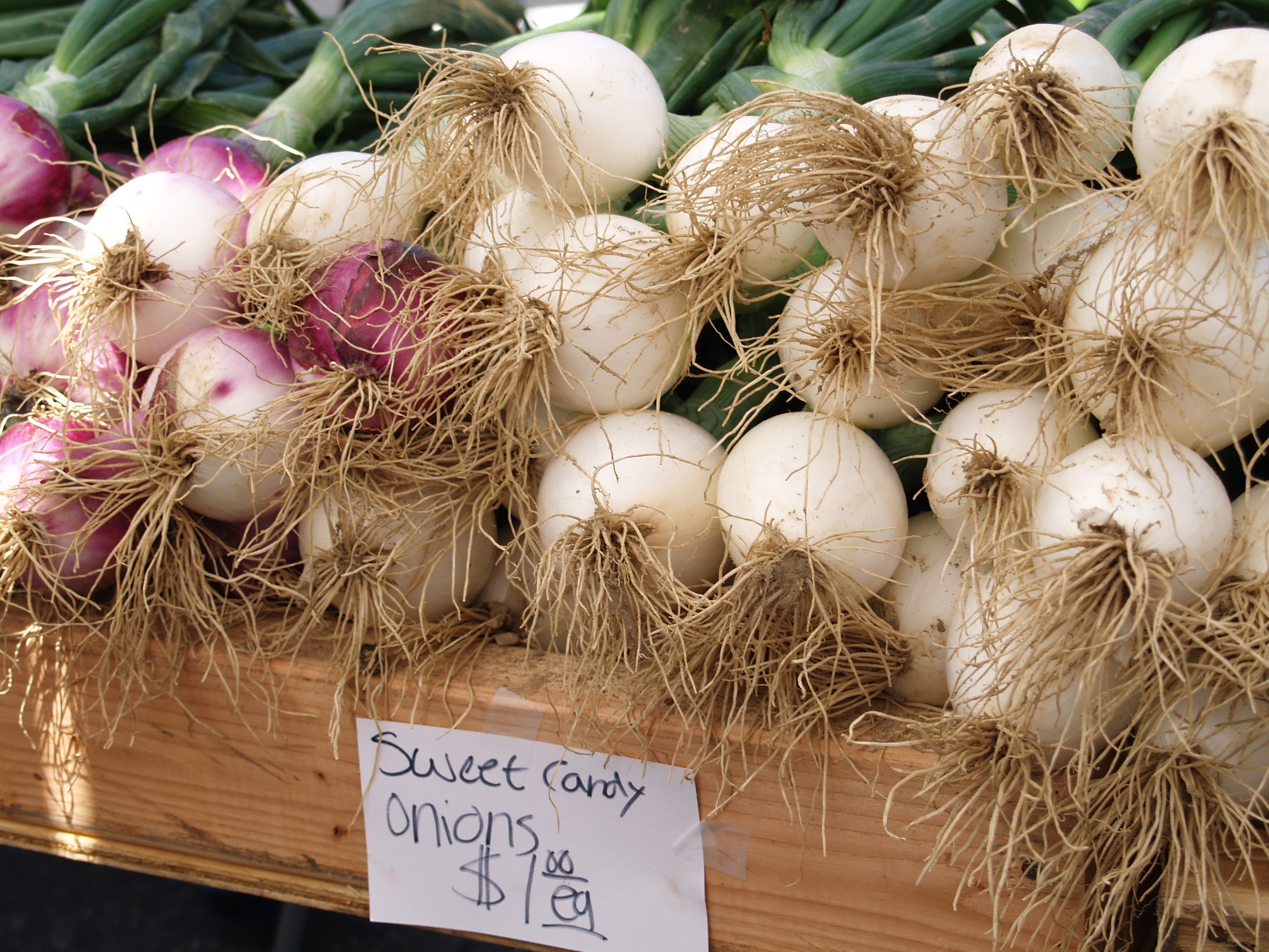 farmer's market onions