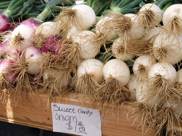 farmer's market onions