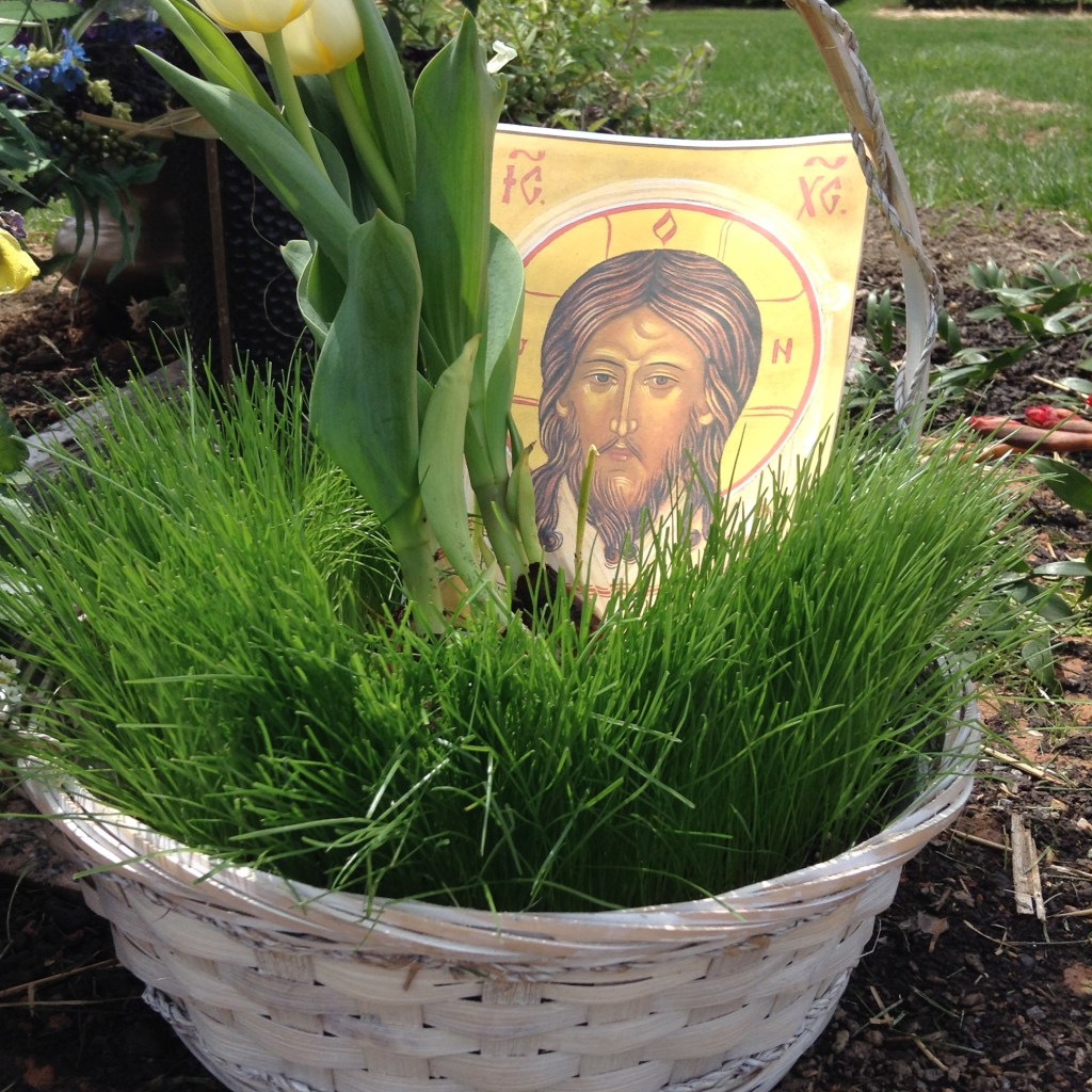 like grasses of the field