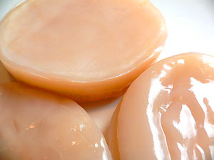Symbiotic Colony of Bacteria and Yeast - SCOBY