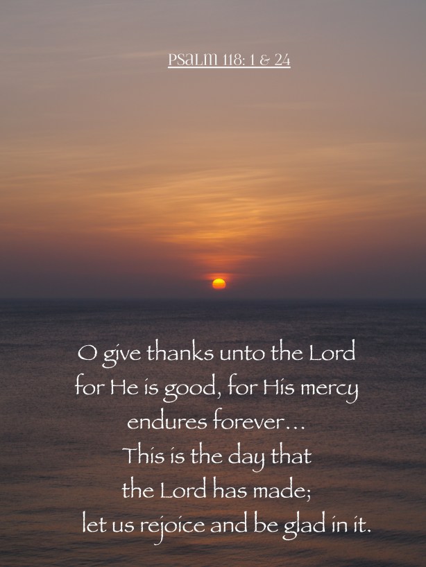 enjoy this beautiful day