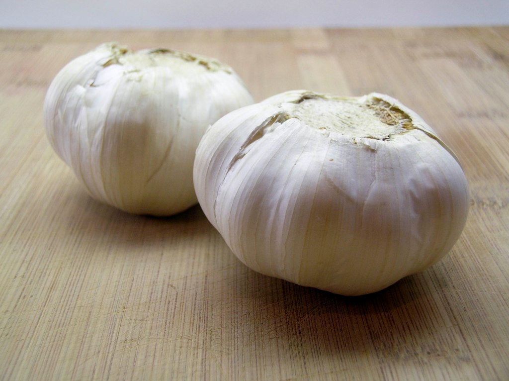 garlic