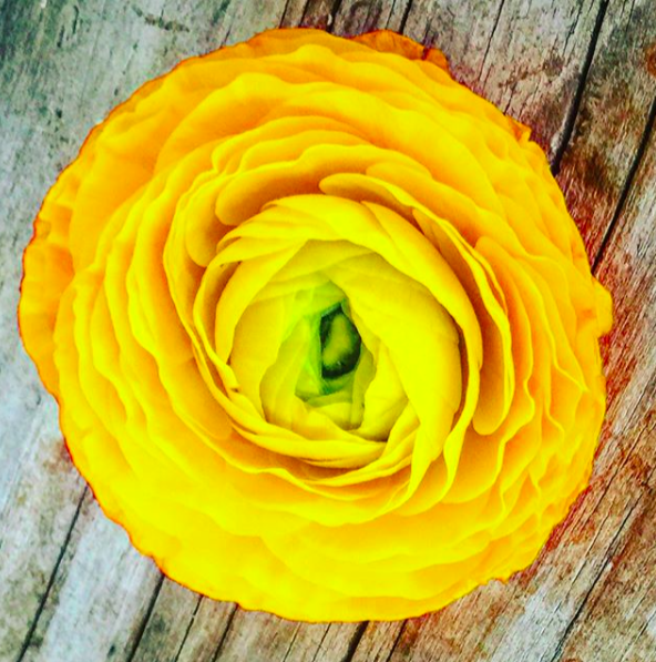 blessing table flower