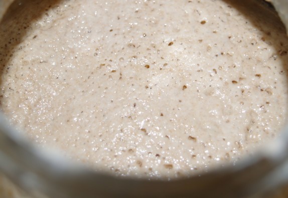 prozymi - sourdough starter