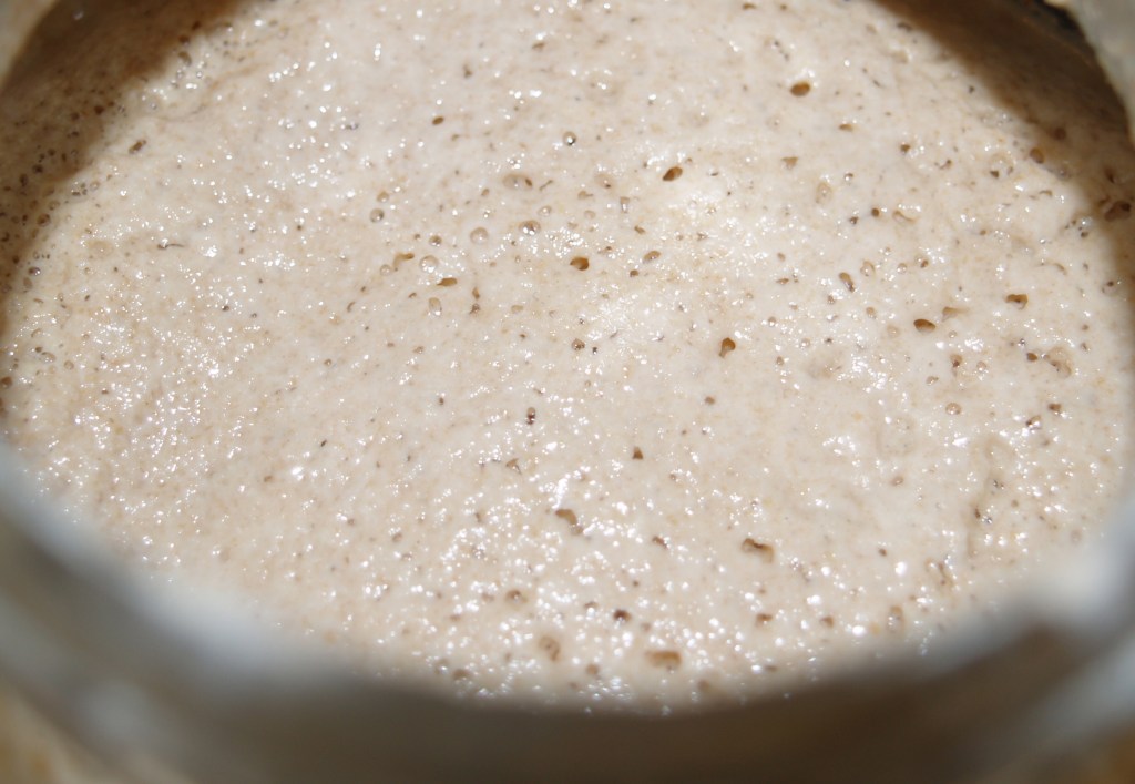 prozymi - sourdough starter