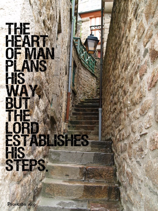 the Lord establishes his steps