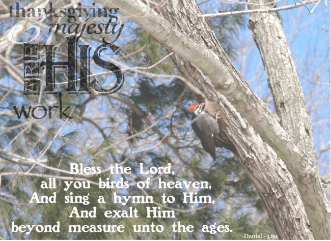 thanksgiving and majesty