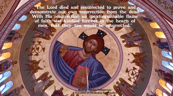 those who hear will live